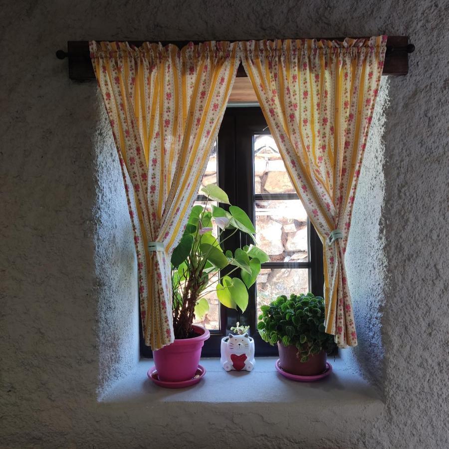 Casinha Da Sobreira Holiday home *