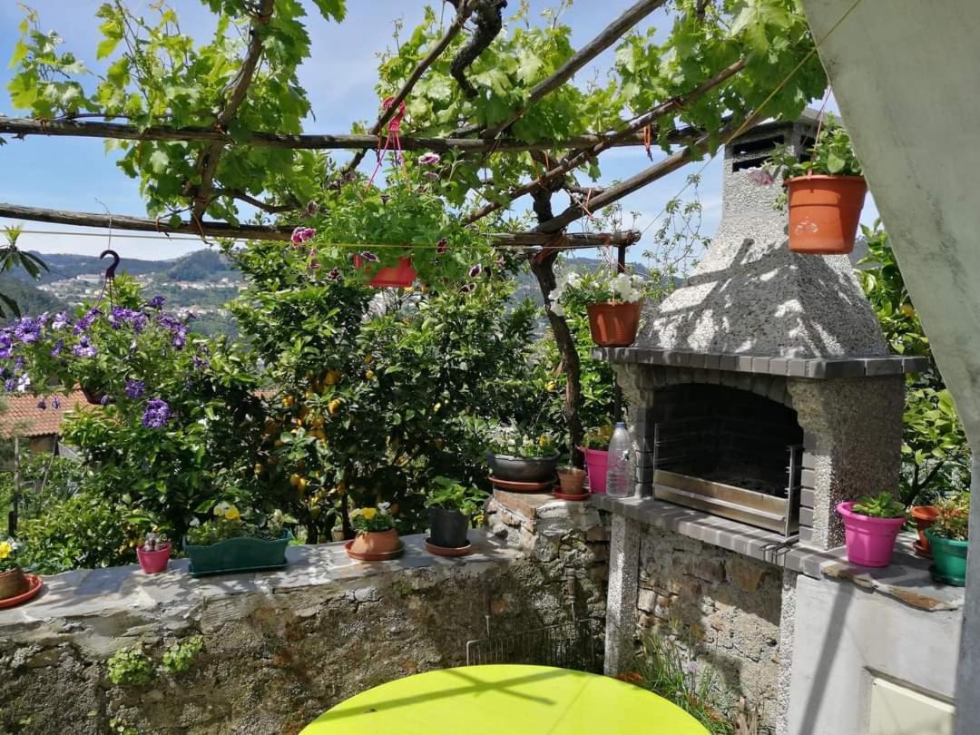 Casinha Da Sobreira Holiday home Penacova
